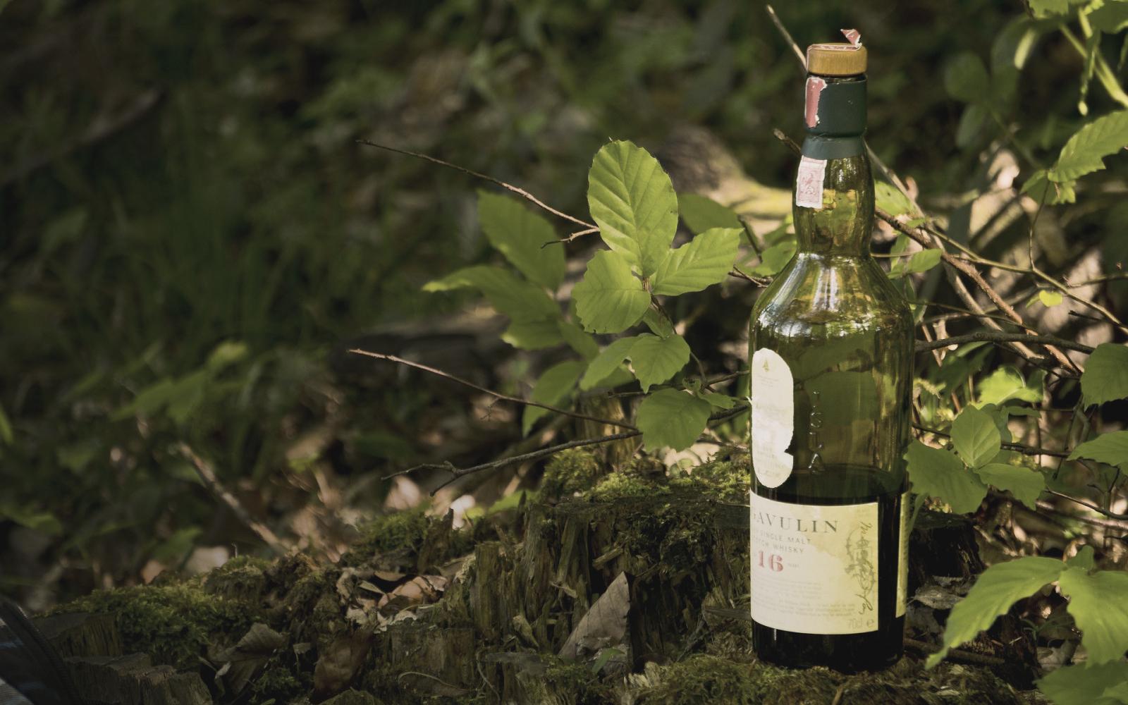 Lagavulin?s most accessible and biggest selling expression is the 16 year old.