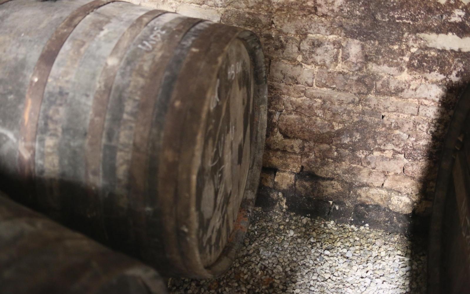 Black Fungus in a Cognac Warehouse Black Fungus in a Cognac Warehouse