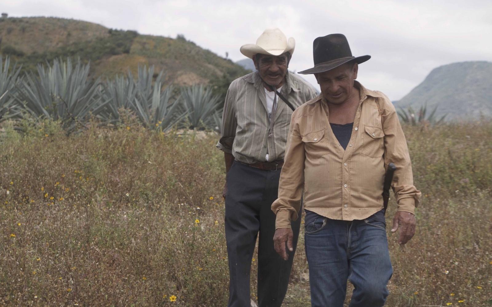Maestro Mezcalero - Photo: Duvier Poviones/Santo Diablo Mezcal Maestro Mezcalero - Photo: Duvier Poviones/Santo Diablo Mezcal
