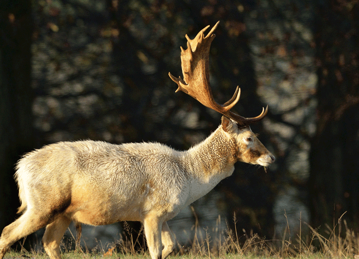 Photo: Flickr / richardfisher Photo: Flickr / richardfisher