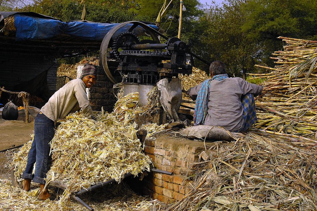Sugar Cane Processing / Photo: Flickr - appaji Sugar Cane Processing / Photo: Flickr - appaji