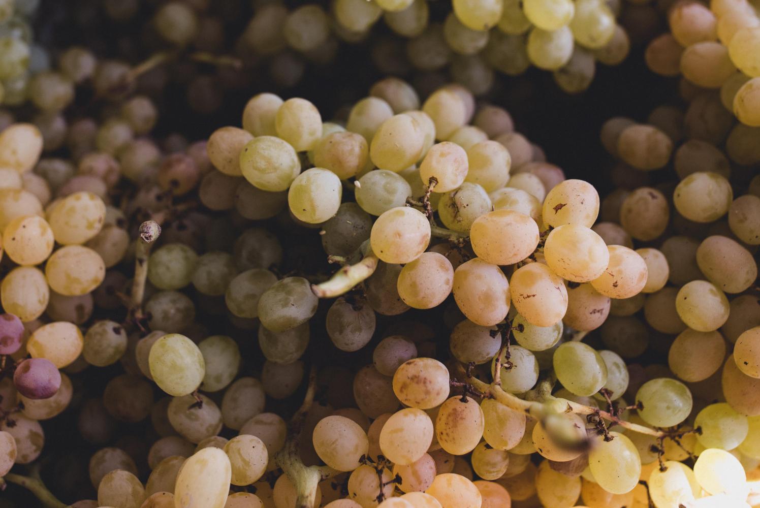 Armenian grapes