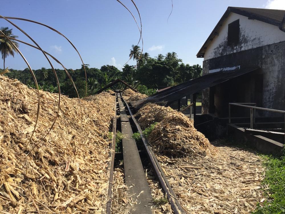 Bagasse left over from Crushing Bagasse left over from Crushing