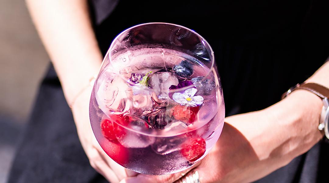 Gin Tonica Gin Tonica