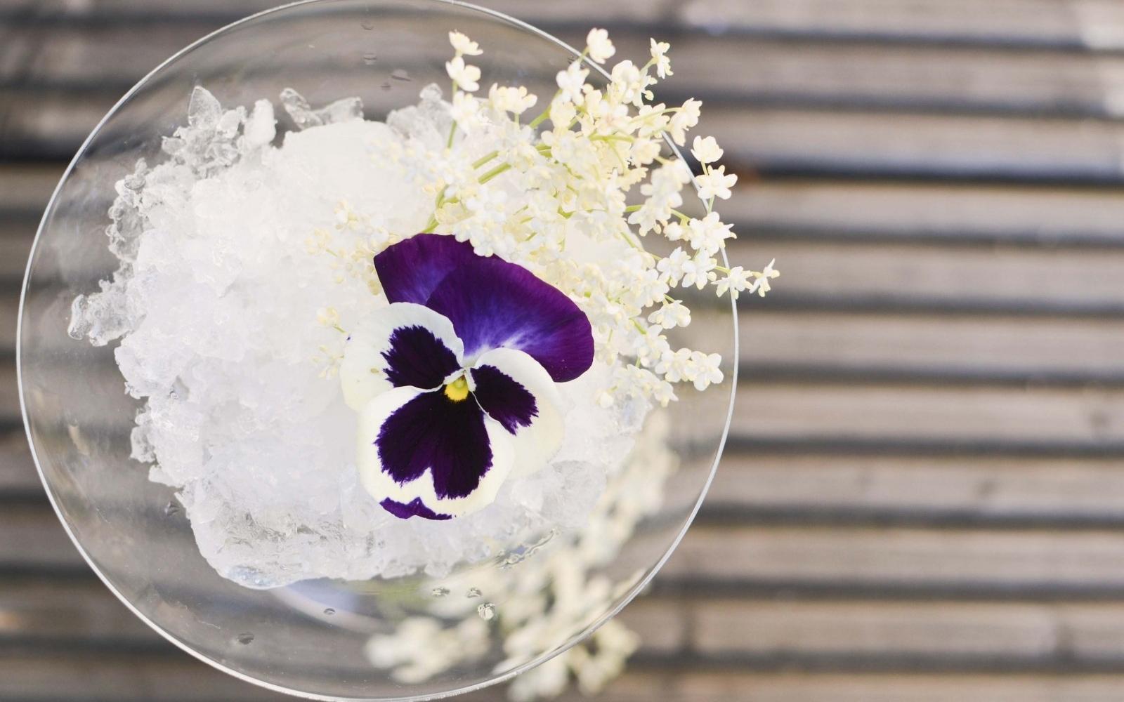 Gin with elderflower tonic - Photo: Flickr/ Urvashi Roe Gin with elderflower tonic - Photo: Flickr/ Urvashi Roe