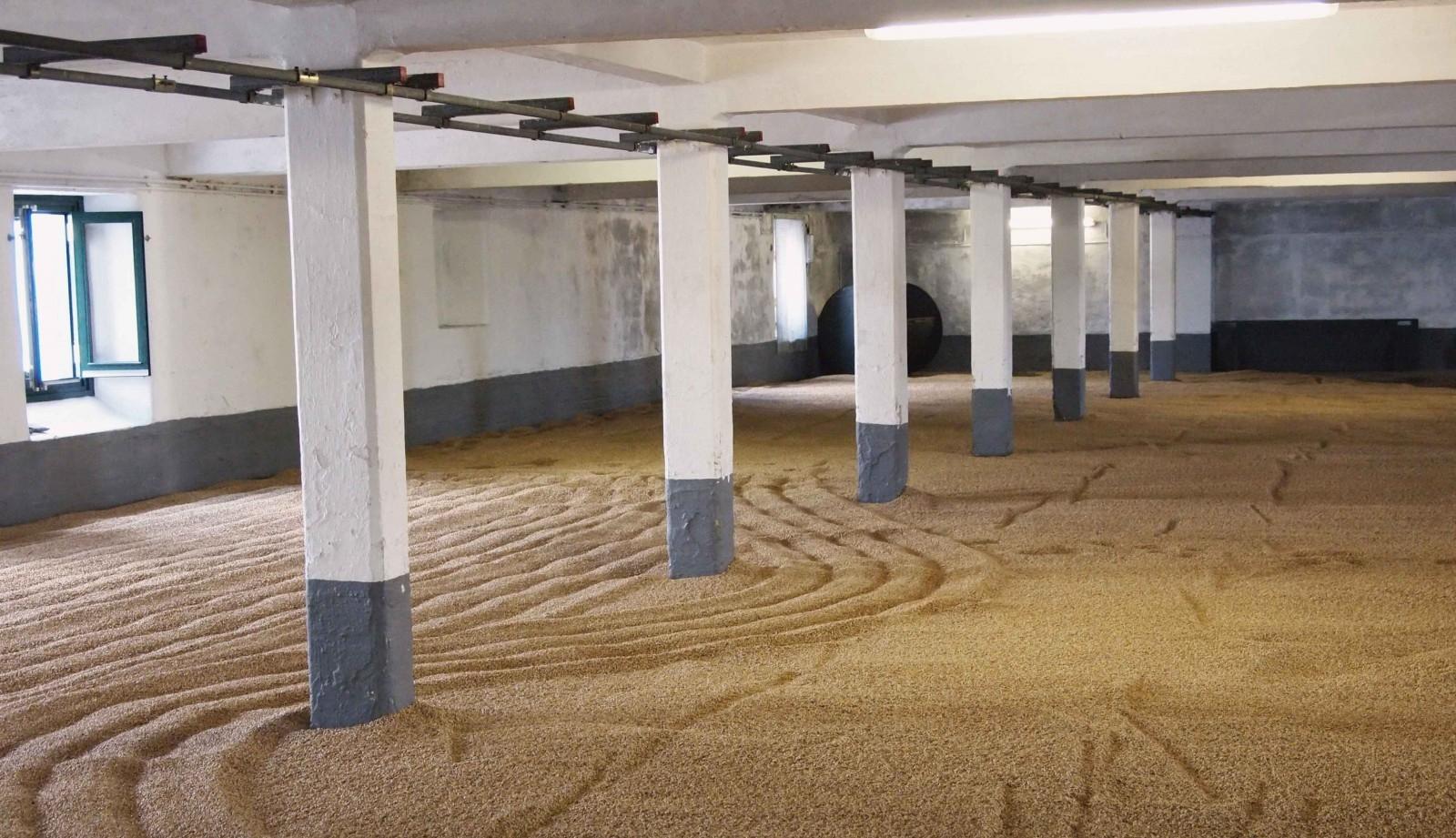 FLOOR MALTING- PHOTO: FLICKR/ Emma Jane Hogbin Westby FLOOR MALTING - PHOTO: FLICKR/ Emma Jane Hogbin Westby
