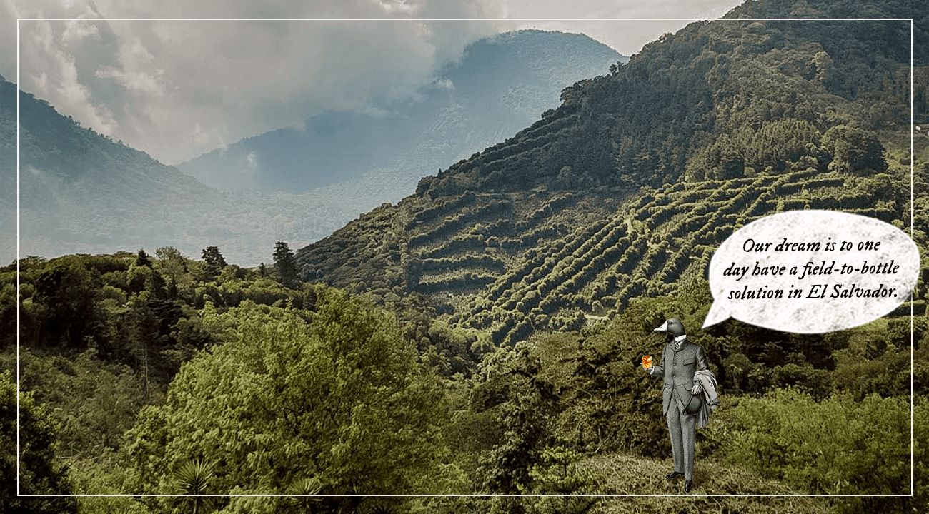 El Salvador: home to fine sugarcane and high-altitude specialty coffee